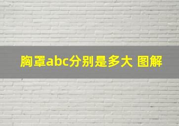 胸罩abc分别是多大 图解